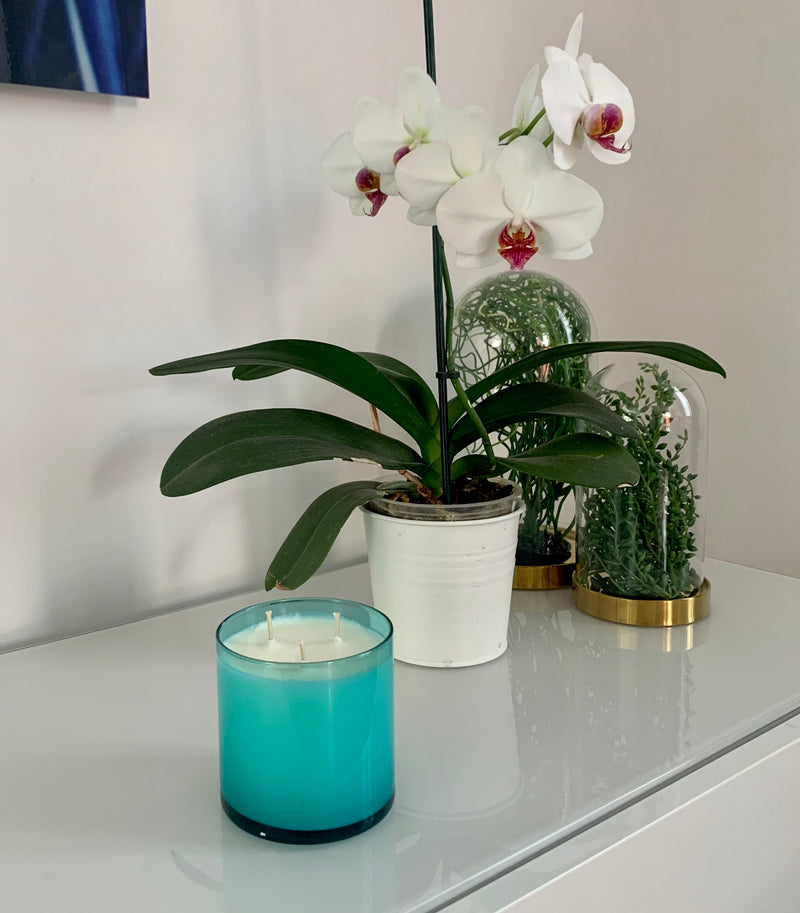 Turquoise - 380 ml