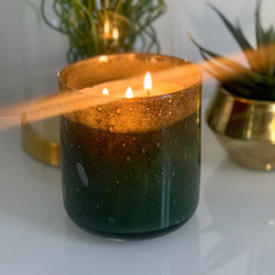 Oslo Sapin - 500 ml